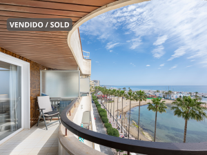 añadir un subtítulo (3)