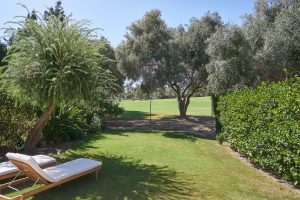 whatsapp image 2025 11 14 at 12.51.19 (2)